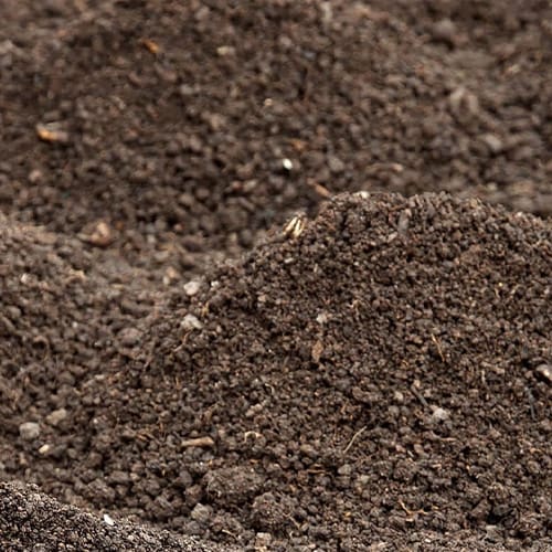 Topsoil